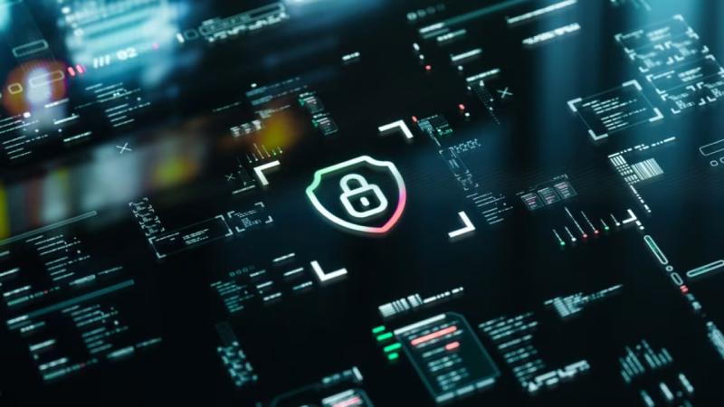 抚远县软件开发公司